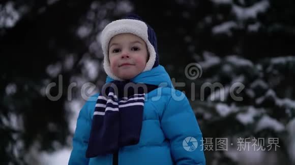 冬天森林里可爱的四岁男孩画像视频