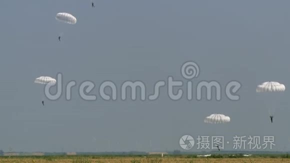 一支伞兵部队降落在一片空地上，白色的圆形降落伞