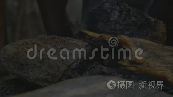 燃烧木材原木视图视频