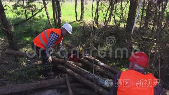 伐木工人测量日志视频