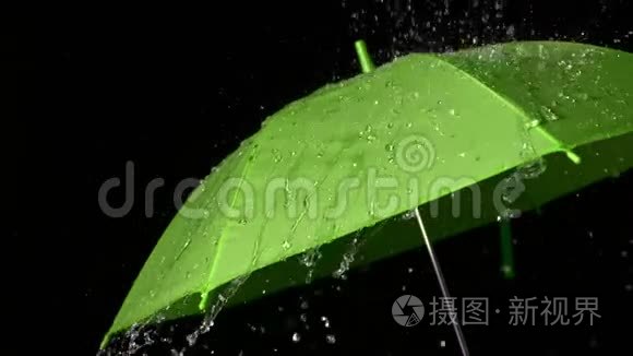 雨落在绿伞上视频
