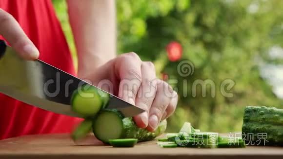 女人从菜园里切新鲜黄瓜做沙拉视频