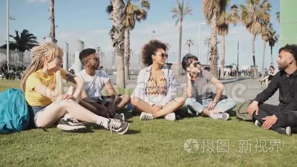 在夏天的草坪上逗着年轻的朋友视频