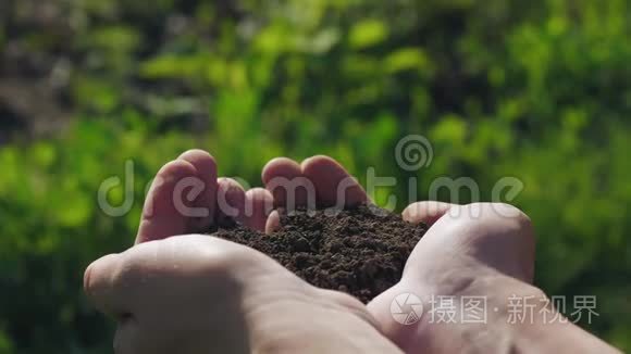 白花从手中的泥土中长大视频