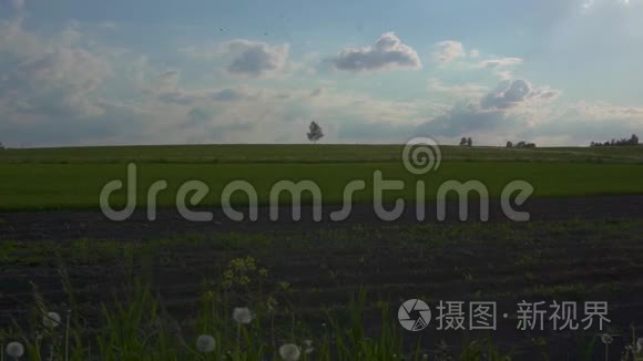 景观视野开阔.. 在阳光明媚的夏日，田野和天空。