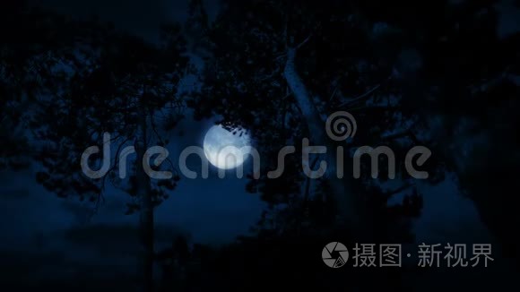 暴风雨之夜高树后的月亮