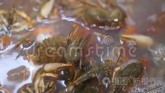 小龙虾在做饭视频