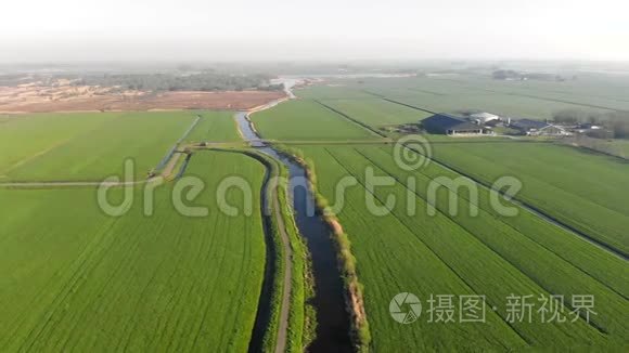荷兰放牧的绿田和运河视频