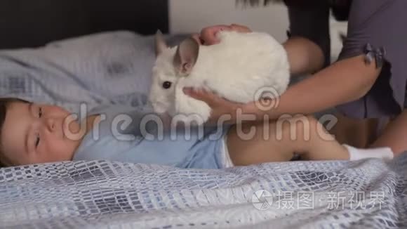 怀孕的母亲和她的小儿子和小鸡鸡动物躺在卧室的床上玩耍，玩得很开心亚洲混血儿mov格式视频下载-正版视频编号02vakz-摄图新视界视频库