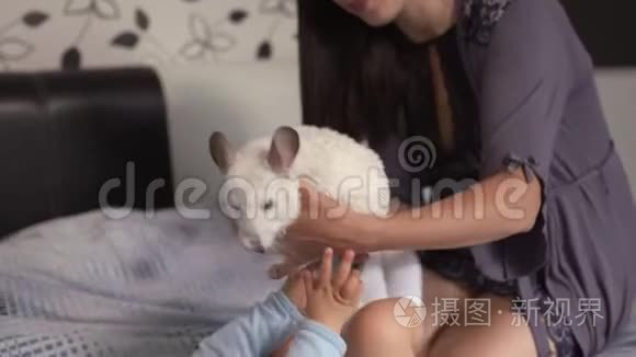 怀孕的母亲和她的小儿子和小鸡鸡动物躺在卧室的床上玩耍，玩得很开心亚洲混血儿mov格式视频下载-正版视频编号02vbzo-摄图新视界视频库
