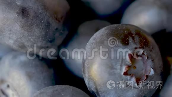 旋转的北美蓝莓的宏观特写视频