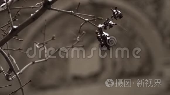 雪继续落下视频