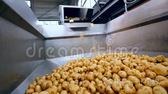 工业集装箱里装满了土豆视频