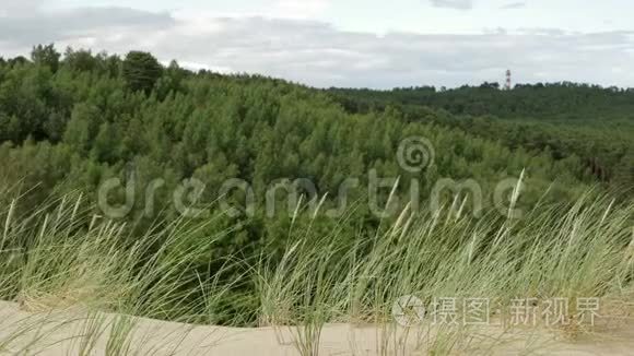 通过海滨草地和森林观赏灯塔视频