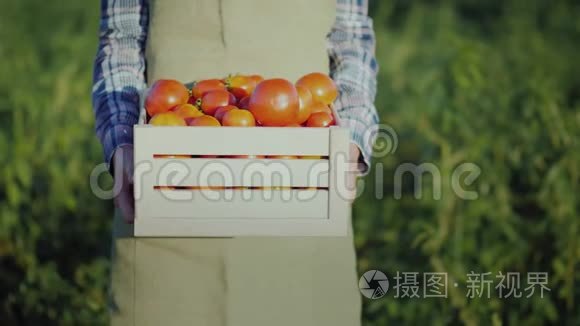 一个工人拿着一个装有西红柿的木箱。