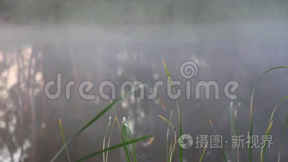 湖面上的雾气视频