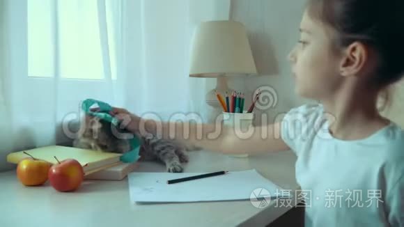 小女孩在做作业时玩她的宠物猫视频