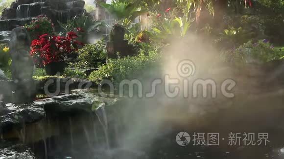 花园里有瀑布的雾气视频