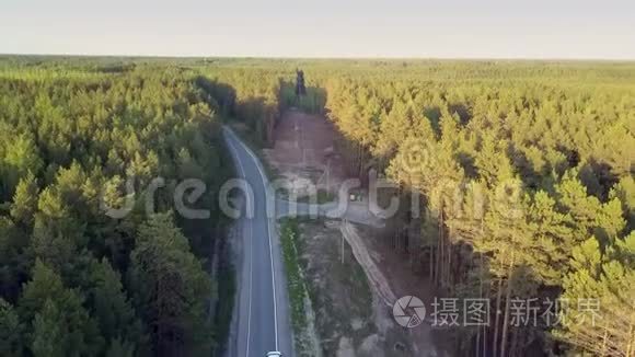 鸟瞰被马路穿过的松林区视频