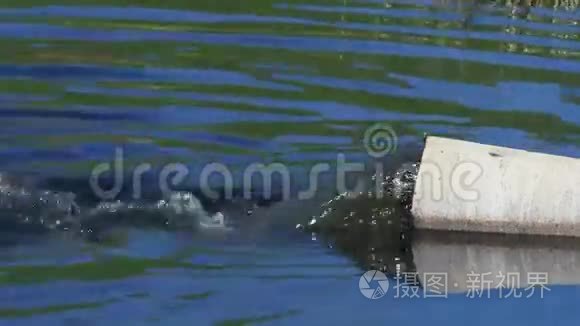 从管道流出到湖泊视频