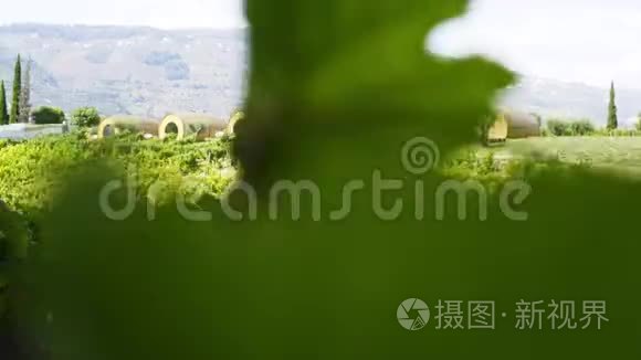 绿色葡萄园中的生态酒店视频