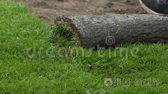 男工展开和折叠草卷视频