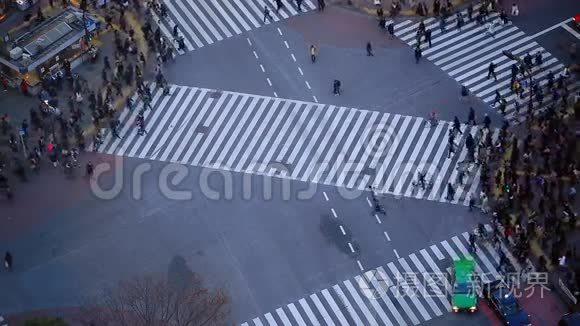 城市行人交通Shibuya东京