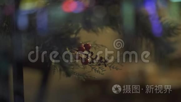 树枝新年树和红色浆果挂在窗户玻璃上。 装饰杉树和照明花环
