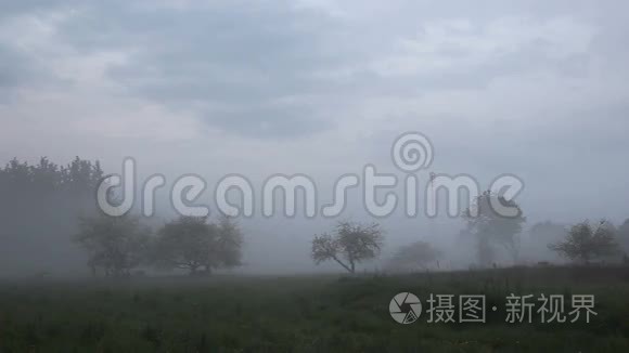 村庄被雾气覆盖视频