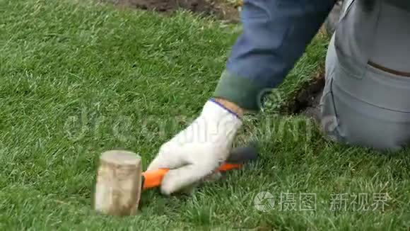 工人用木锤捣碎一块替换的草视频
