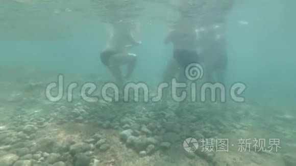 水下肥胖的男女在蓝海中游泳视频