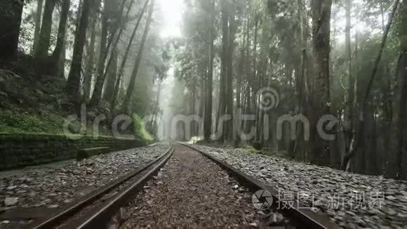 沿着阿里山风景区森林中被忽视的老铁路走着雾、雾和雾。 台湾的视角