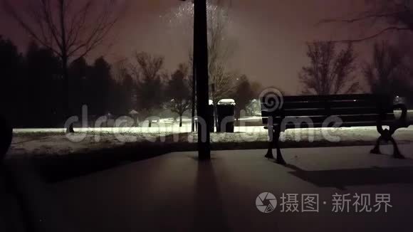 公园里的雪夜视频