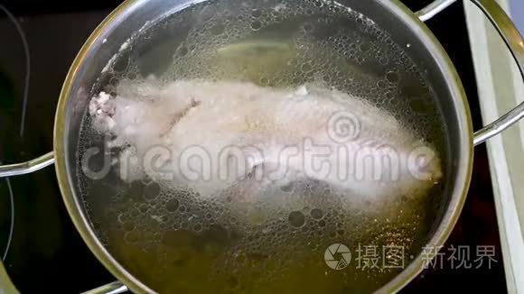 鸡在水中最高温度下沸腾视频