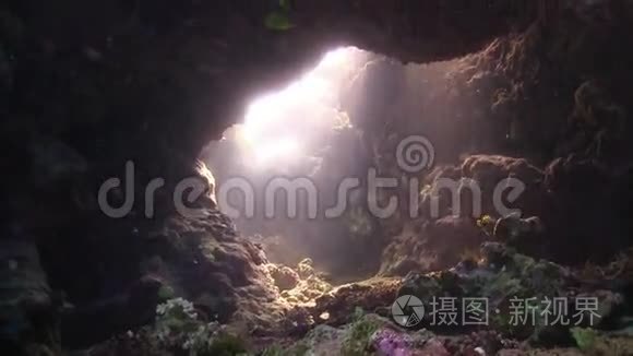 阳光照亮了一个水下洞穴视频