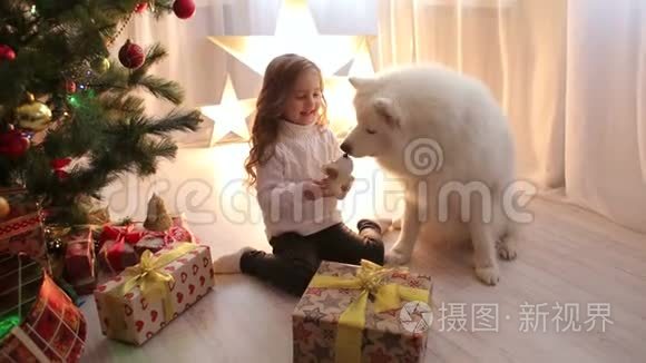 小女孩和狗在圣诞树附近玩耍视频