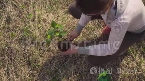 女环保人士种了一棵小树视频
