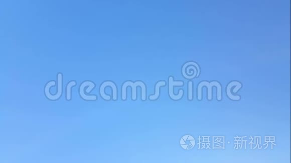 海鸥优雅地盘旋在天空中视频