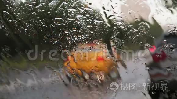 城市交通在大雨中视频