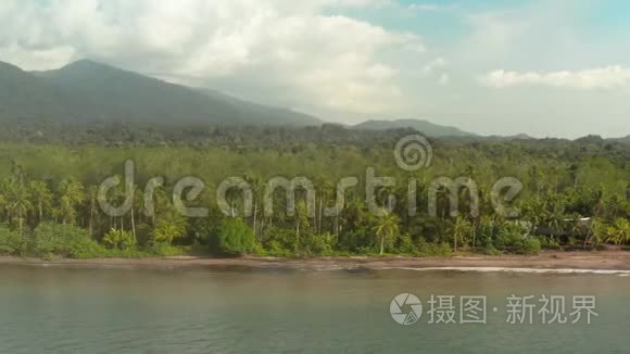 太平洋沿岸有雨林视频