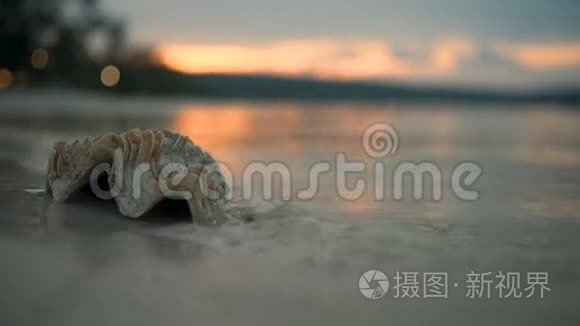 海浪冲击着海滩上的贝壳视频