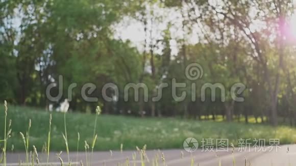 一对浪漫的情侣,在阳光的照射下,在绿树之间的空地上.