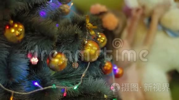圣诞树上的多莉装饰品视频