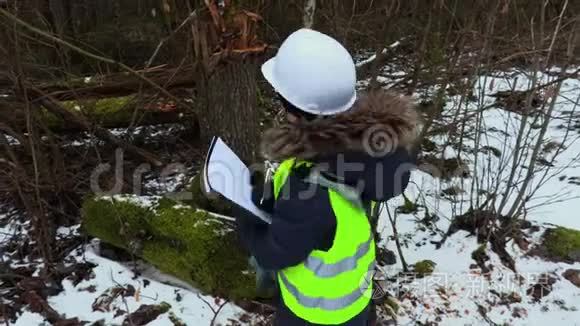 女林业员工检查破树.