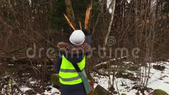 女林业员工拍摄破树照片