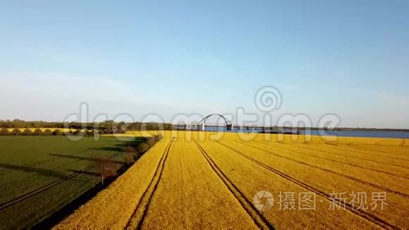 飞马大桥和油菜田空中景观视频