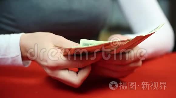 女会计算美元。 金融和稳定。 富人