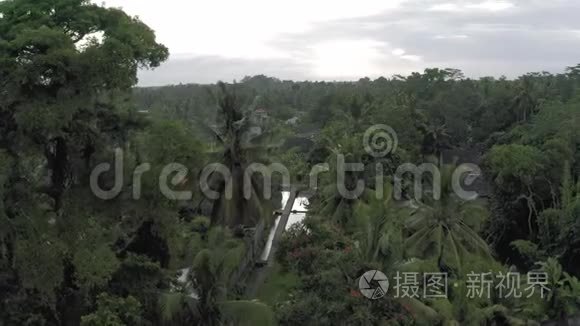 巴厘岛棕榈树之间的河流视频