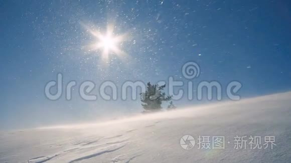 山上的风吹雪，暴风雪，暴风雪