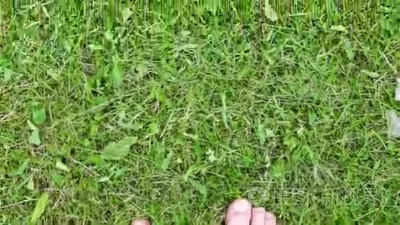 赤脚踩在草地上视频